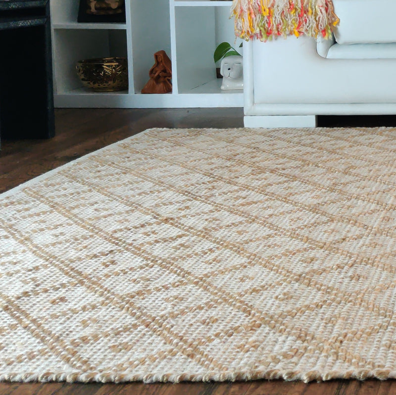 Crate and Barrel Rugs