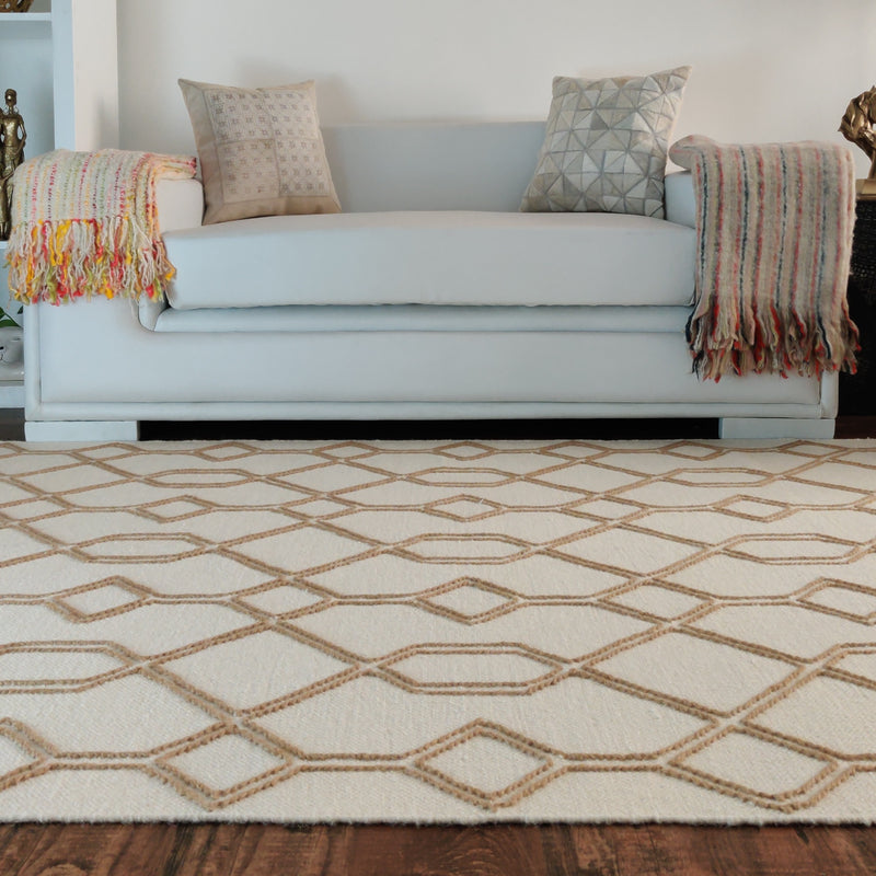 Crate and Barrel Rugs